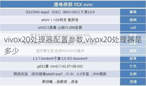 vivox20处理器配置参数,vivox20处理器是多少