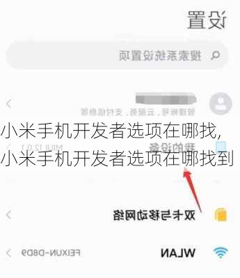 小米手机开发者选项在哪找,小米手机开发者选项在哪找到