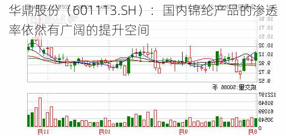 华鼎股份（601113.SH）：国内锦纶产品的渗透率依然有广阔的提升空间