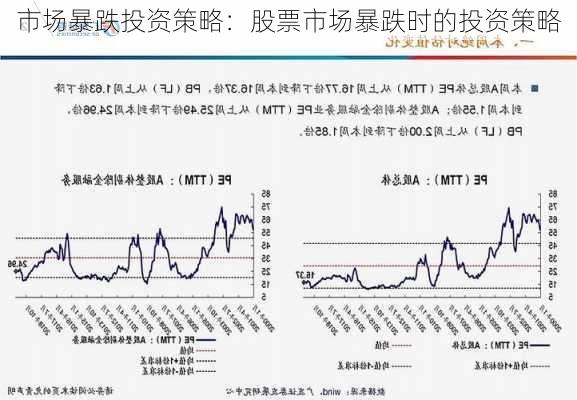 市场暴跌投资策略：股票市场暴跌时的投资策略