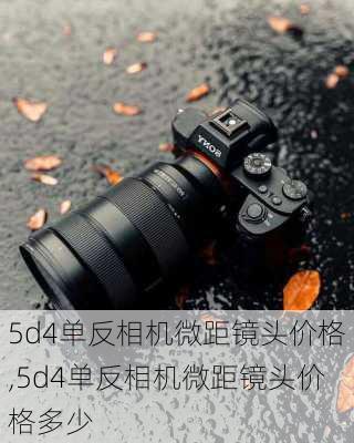 5d4单反相机微距镜头价格,5d4单反相机微距镜头价格多少