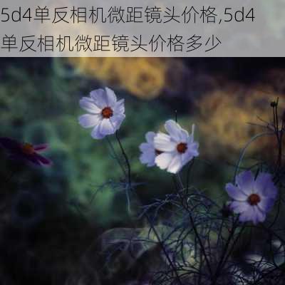 5d4单反相机微距镜头价格,5d4单反相机微距镜头价格多少