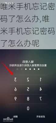 唯米手机忘记密码了怎么办,唯米手机忘记密码了怎么办呢