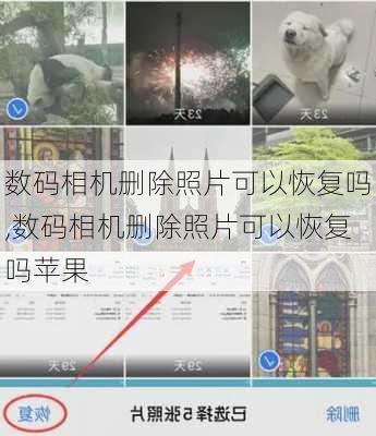 数码相机删除照片可以恢复吗,数码相机删除照片可以恢复吗苹果