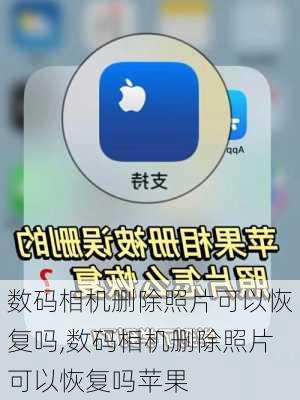 数码相机删除照片可以恢复吗,数码相机删除照片可以恢复吗苹果