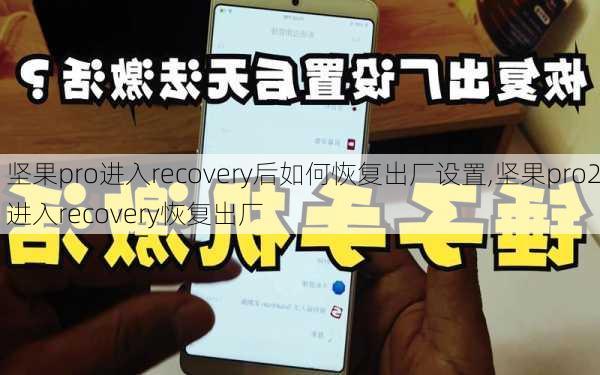 坚果pro进入recovery后如何恢复出厂设置,坚果pro2进入recovery恢复出厂