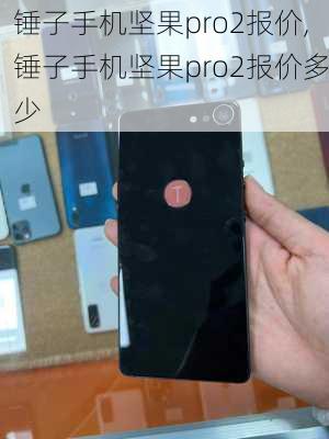 锤子手机坚果pro2报价,锤子手机坚果pro2报价多少