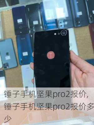 锤子手机坚果pro2报价,锤子手机坚果pro2报价多少