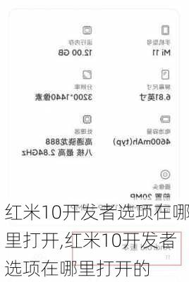 红米10开发者选项在哪里打开,红米10开发者选项在哪里打开的