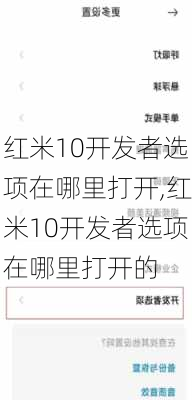 红米10开发者选项在哪里打开,红米10开发者选项在哪里打开的