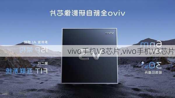 vivo手机V3芯片,vivo手机V3芯片