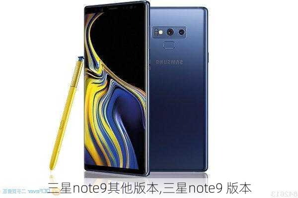 三星note9其他版本,三星note9 版本