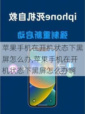 苹果手机在开机状态下黑屏怎么办,苹果手机在开机状态下黑屏怎么办啊