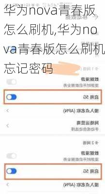 华为nova青春版怎么刷机,华为nova青春版怎么刷机忘记密码