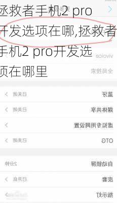 拯救者手机2 pro开发选项在哪,拯救者手机2 pro开发选项在哪里