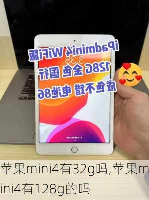 苹果mini4有32g吗,苹果mini4有128g的吗