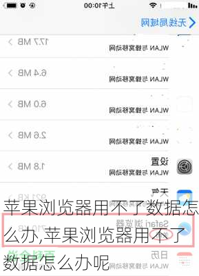 苹果浏览器用不了数据怎么办,苹果浏览器用不了数据怎么办呢
