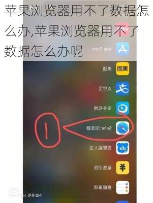 苹果浏览器用不了数据怎么办,苹果浏览器用不了数据怎么办呢