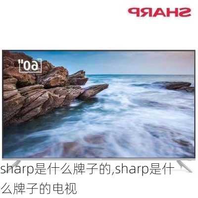 sharp是什么牌子的,sharp是什么牌子的电视