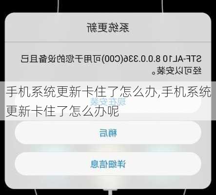 手机系统更新卡住了怎么办,手机系统更新卡住了怎么办呢