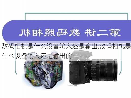 数码相机是什么设备输入还是输出,数码相机是什么设备输入还是输出的