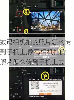 数码相机拍的照片怎么传到手机上,数码相机拍的照片怎么传到手机上去