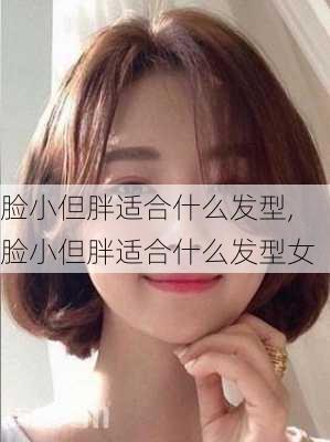 脸小但胖适合什么发型,脸小但胖适合什么发型女