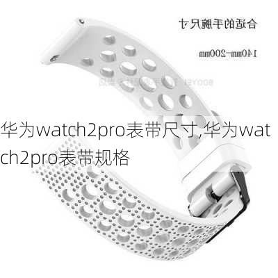 华为watch2pro表带尺寸,华为watch2pro表带规格