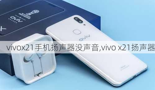 vivox21手机扬声器没声音,vivo x21扬声器