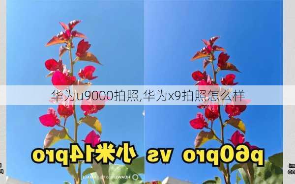 华为u9000拍照,华为x9拍照怎么样