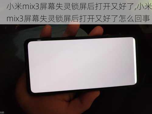 小米mix3屏幕失灵锁屏后打开又好了,小米mix3屏幕失灵锁屏后打开又好了怎么回事