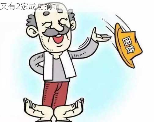 又有2家成功摘帽！