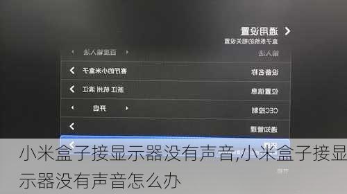 小米盒子接显示器没有声音,小米盒子接显示器没有声音怎么办