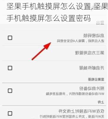 坚果手机触摸屏怎么设置,坚果手机触摸屏怎么设置密码