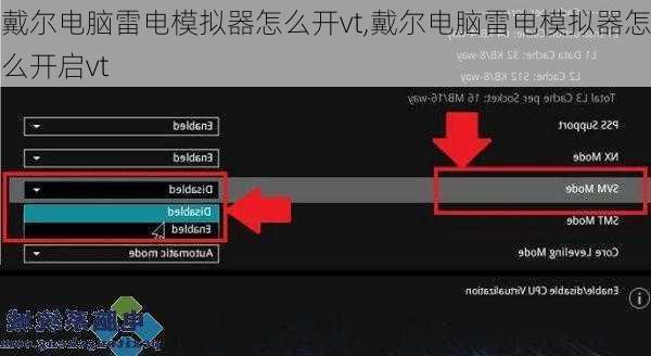 戴尔电脑雷电模拟器怎么开vt,戴尔电脑雷电模拟器怎么开启vt