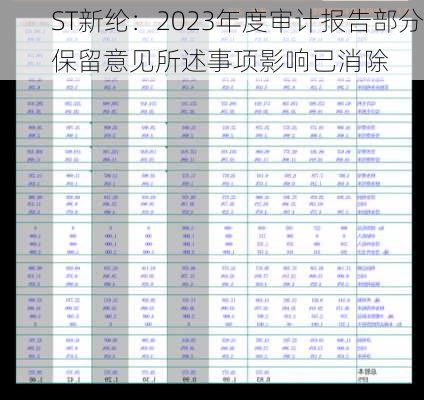 ST新纶：2023年度审计报告部分保留意见所述事项影响已消除