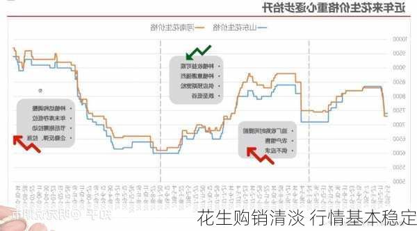 花生购销清淡 行情基本稳定