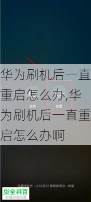 华为刷机后一直重启怎么办,华为刷机后一直重启怎么办啊