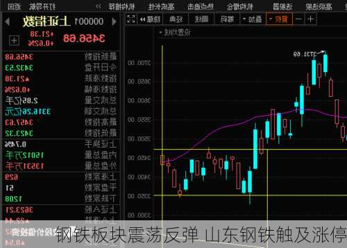 钢铁板块震荡反弹 山东钢铁触及涨停