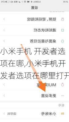 小米手机 开发者选项在哪,小米手机开发者选项在哪里打开
