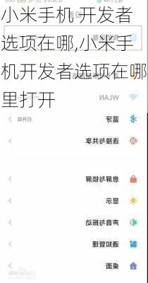 小米手机 开发者选项在哪,小米手机开发者选项在哪里打开