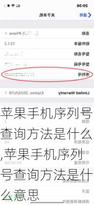 苹果手机序列号查询方法是什么,苹果手机序列号查询方法是什么意思