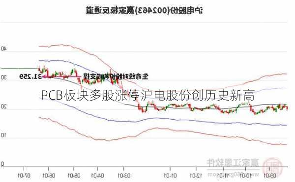 PCB板块多股涨停沪电股份创历史新高