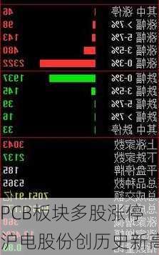 PCB板块多股涨停沪电股份创历史新高