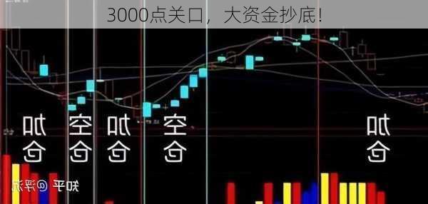 3000点关口，大资金抄底！