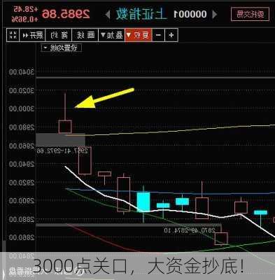 3000点关口，大资金抄底！