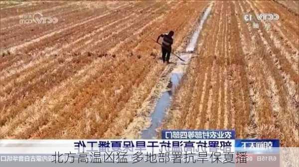 北方高温凶猛 多地部署抗旱保夏播