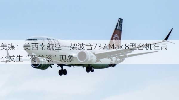 美媒：美西南航空一架波音737 Max 8型客机在高空发生“荷兰滚”现象