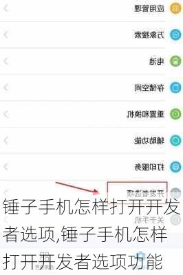 锤子手机怎样打开开发者选项,锤子手机怎样打开开发者选项功能