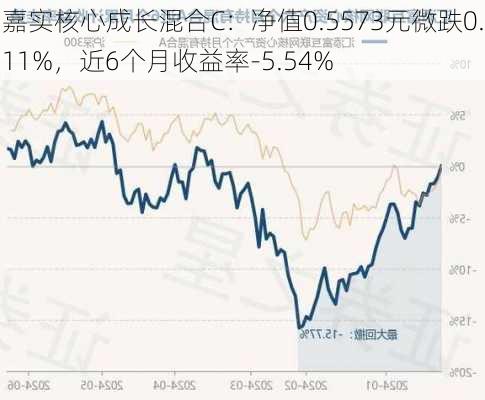 嘉实核心成长混合C：净值0.5573元微跌0.11%，近6个月收益率-5.54%